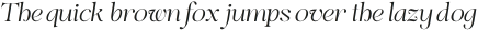VVS Nobleman Display Italic otf (400)