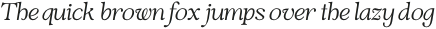VVS Nobleman Book Italic otf (400)
