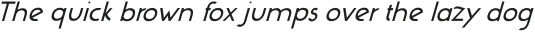 ROTHKO-LightItalic otf (300)