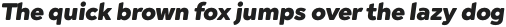 Cerco Black Italic otf (900)