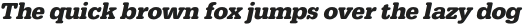FP Typewriter Bold Italic otf (700)