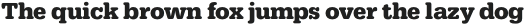 FP Typewriter Bold otf (700)