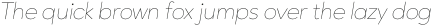Geometreg Thin Italic otf (100)