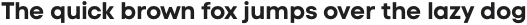 Code Next Bold otf (700)