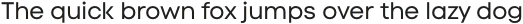 Code Next Regular otf (400)