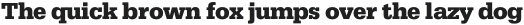 Taran Bold otf (700)