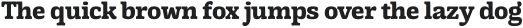 Testun Bold otf (700)