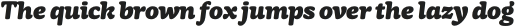 Testun ExtraBold Italic otf (700)