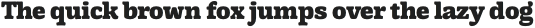 Testun ExtraBold otf (700)