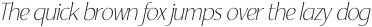 Yorkie Thin Italic otf (100)