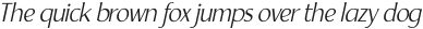 Yorkie Extra Light Italic otf (200)