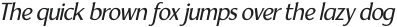 Yorkie Light Italic otf (300)