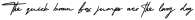 Amerika Signature Regular otf (400)