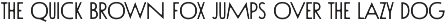 Think Sans - A Varied-Width Font font preview