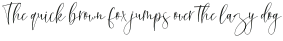 Distoria Script Regular otf (400)