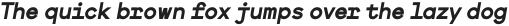 SK Ilke Mono Bold Italic ttf (700)