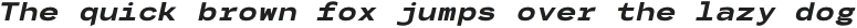 Codo Mono Italic Bold otf (700)