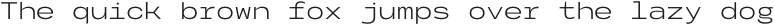Codo Mono Light otf (300)