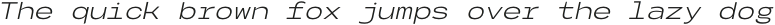 Codo Mono Italic Light otf (300)
