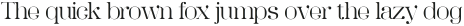 SK Zweig Thin ttf (100)