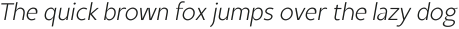 SK Monaco Thin Italic ttf (100)