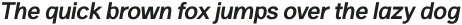 SK Selanik Bold Italic ttf (700)