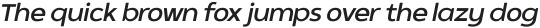 SK Clarke Medium Italic ttf (500)