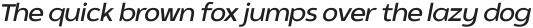 SK Clarke Italic ttf (400)