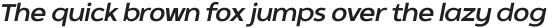 SK Clarke Semi Bold Italic ttf (600)