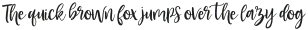 Blusher Script Regular otf (400)