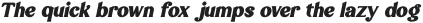 Magzo Italic Heavy otf (800)