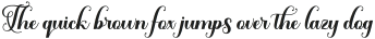 Solidaritas Script Regular otf (400)