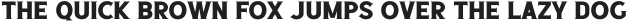The Pincher Brothers Serif otf (400)