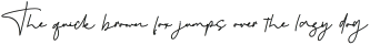 ClassicRockScript-Italic otf (400)