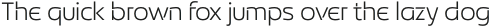 Exelancer Light otf (300)