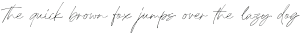 Holybuck-Light otf (300)