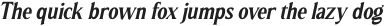 Resiliencia-Italic otf (400)