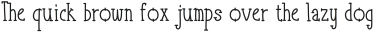 TakeItorLeaveItSerif ttf (400)