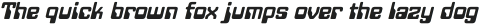 Minicomputer Heavy Italic otf (800)