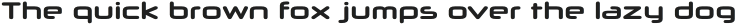 Neuropol X Bold otf (700)