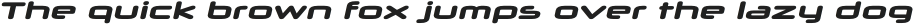 Neuropol X Expanded Heavy Italic otf (800)