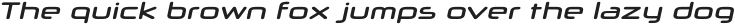 Neuropol X SemiBold Italic otf (600)