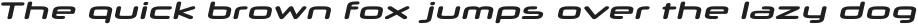 Neuropol X Expanded Bold Italic otf (700)