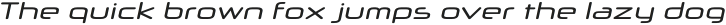 Neuropol X Italic otf (400)