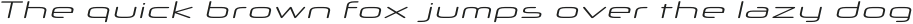 Neuropol X Expanded Light Italic otf (300)
