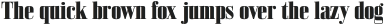 Bodoni Z37 S Condensed Heavy otf (800)