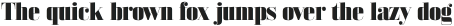 Bodoni Z37 L Heavy otf (800)