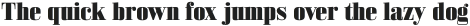 Bodoni Z37 S Heavy otf (800)