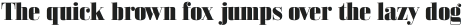 Bodoni Z37 M Heavy otf (800)