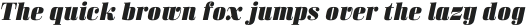 Bodoni Z37 S Extended Heavy Italic otf (800)